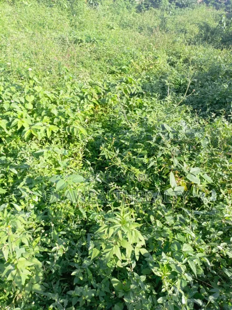 1,200sqm Commercial Land at Wuse 2 in Wuse 2
