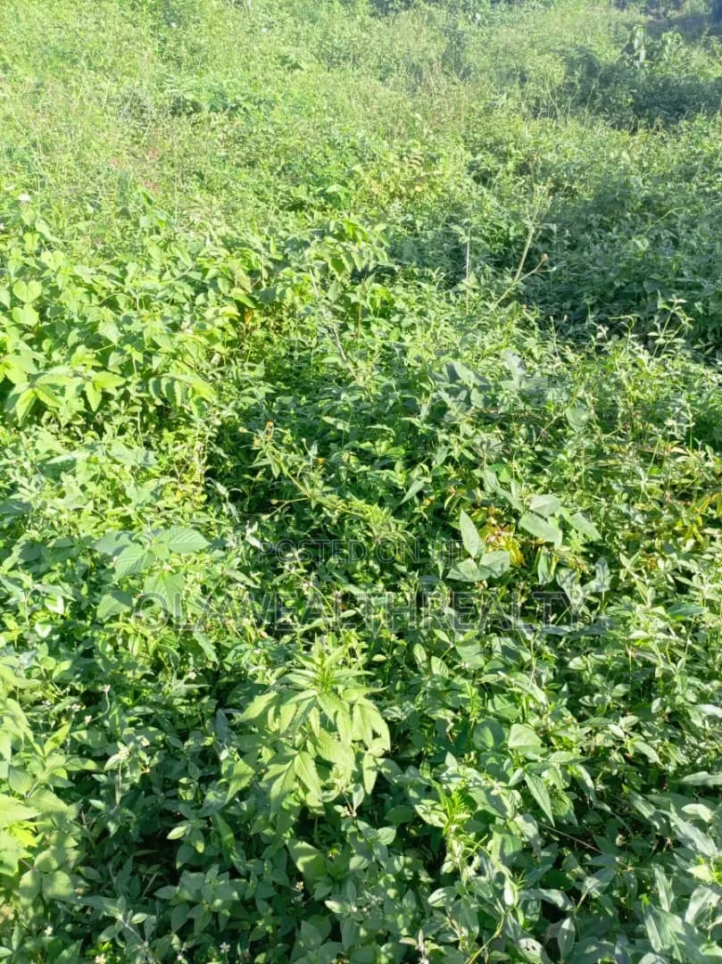 1,666sqm Commercial Land at Wuse 2 in Wuse 2