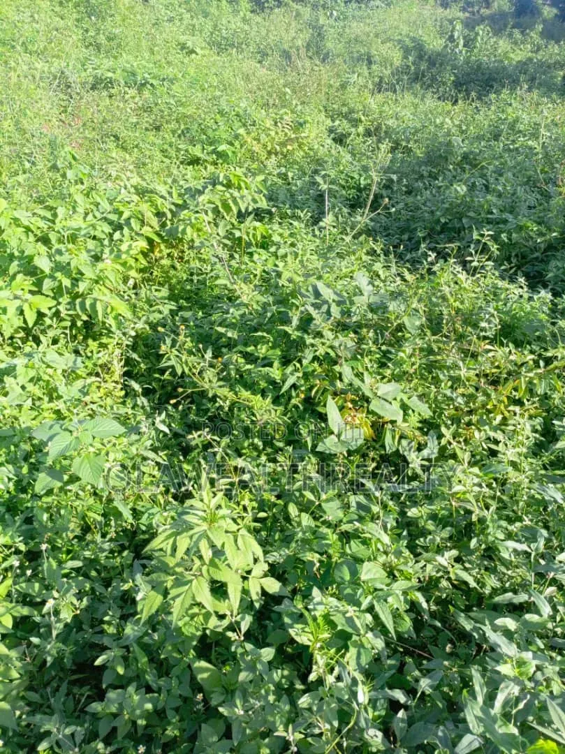 1,666sqm Commercial Land at Wuse 2 in Wuse 2