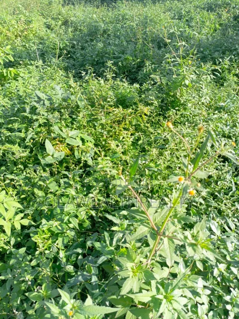 2,600sqm Commercial Land at Wuse 2 in Wuse 2