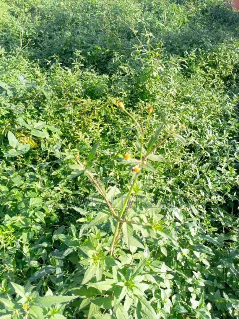 2,600sqm Commercial Land at Wuse 2 in Wuse 2