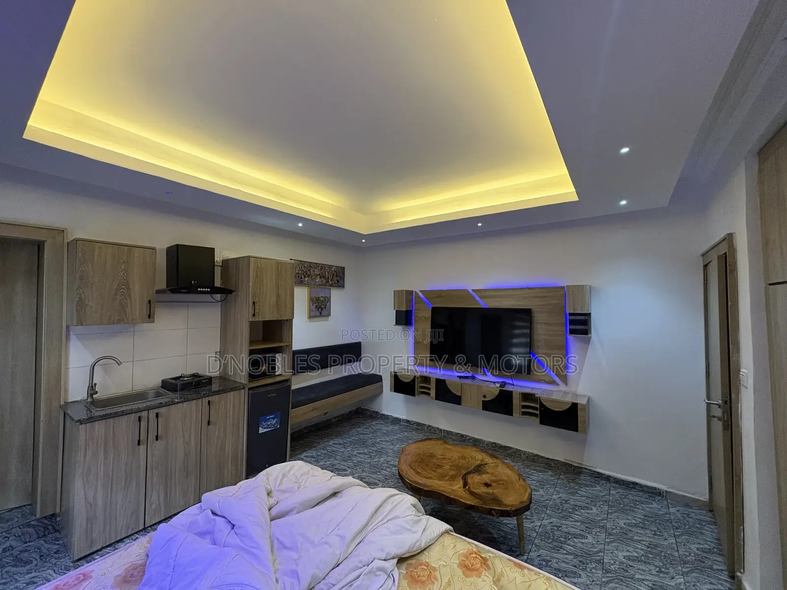 Furnished Studio Apartment in Garki 1 for rent in Garki 1