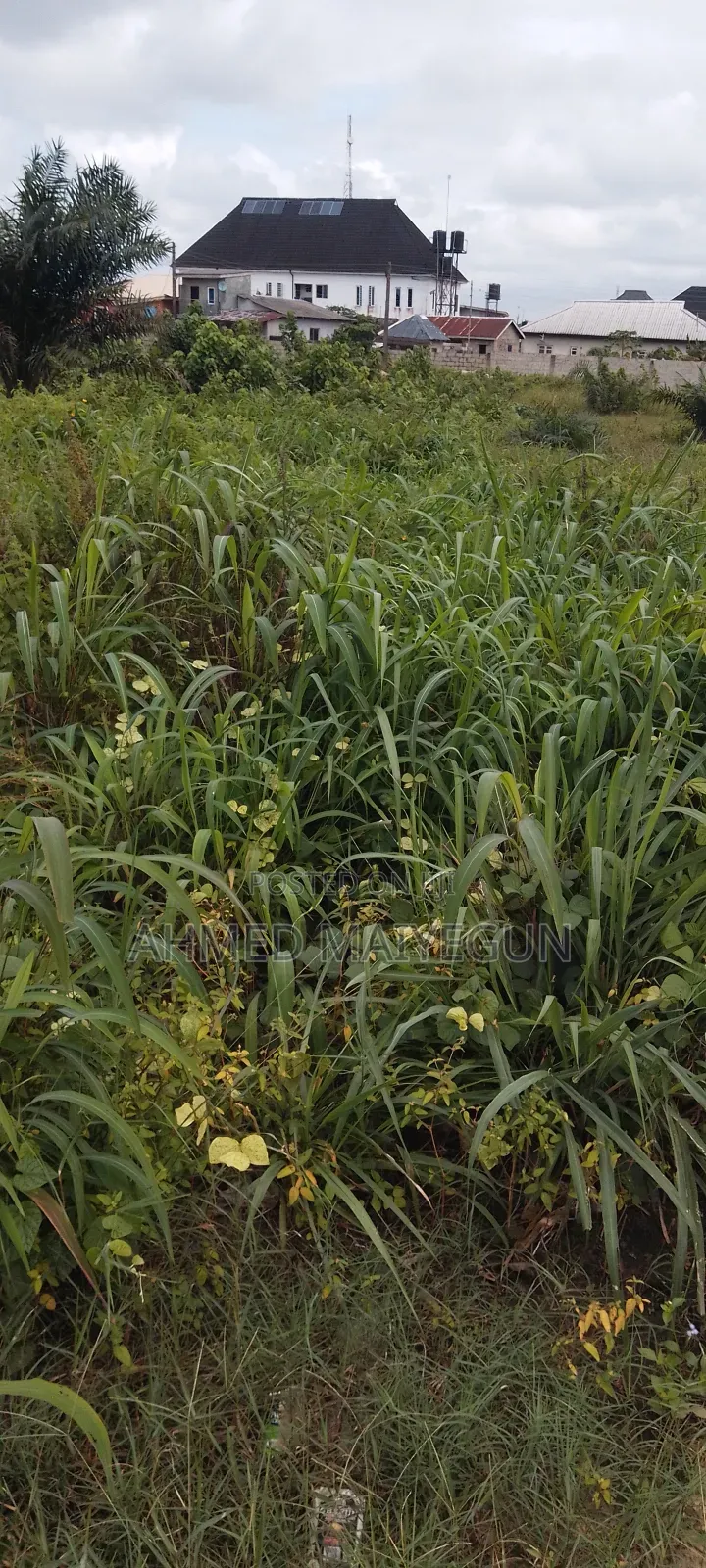 Half Plot of Land at Rich Land Estate for Sale Ibeju Lekki C of O in Eleko