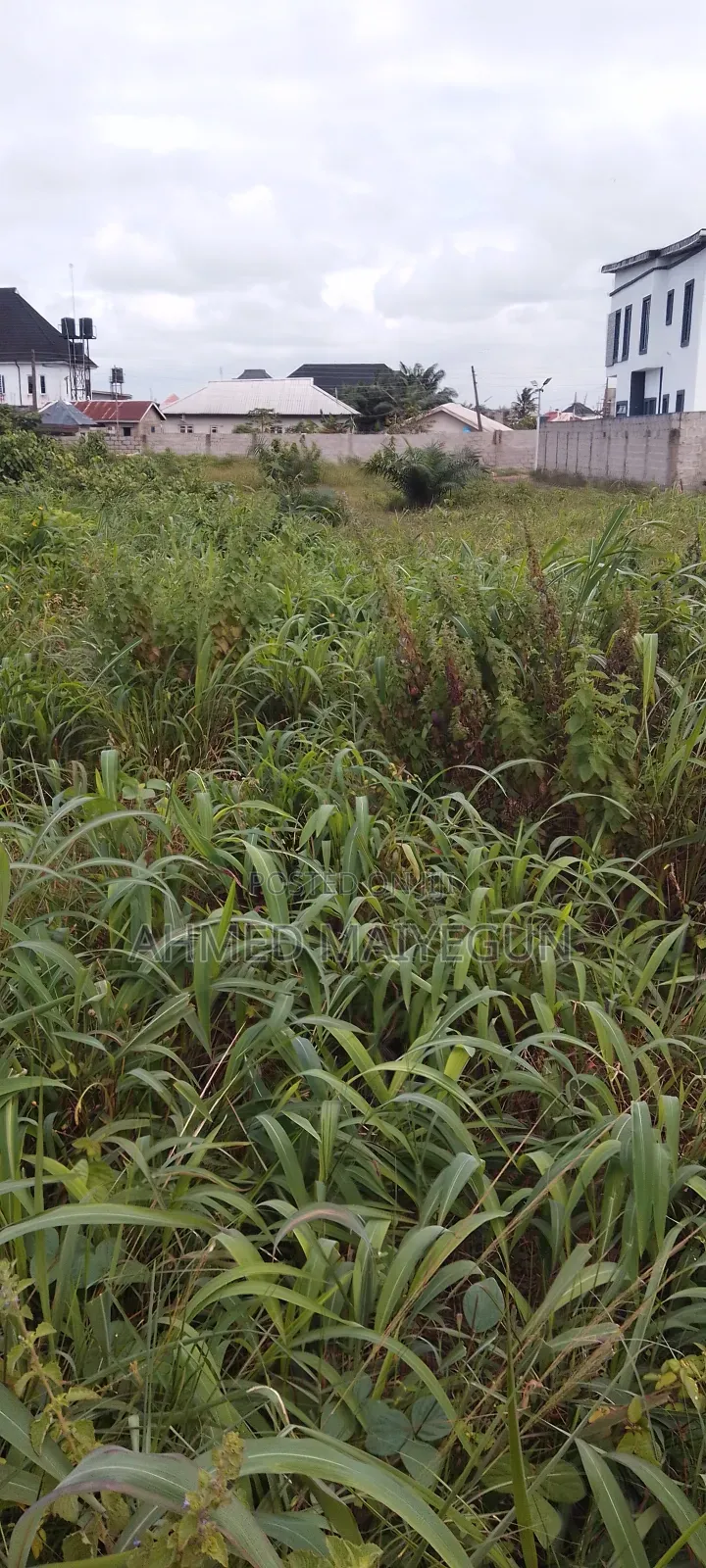 Half Plot of Land at Rich Land Estate for Sale Ibeju Lekki C of O in Eleko