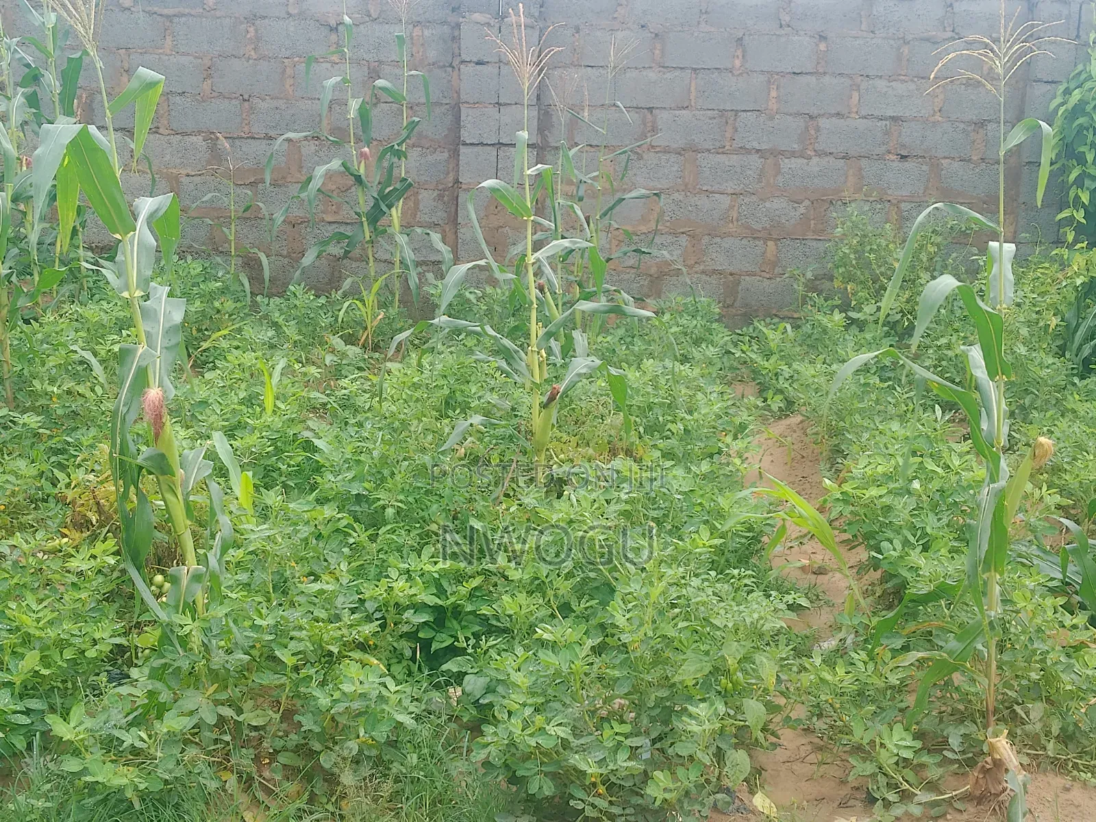 8,000 SQM at Katampe Main for JV in Katampe (Main)