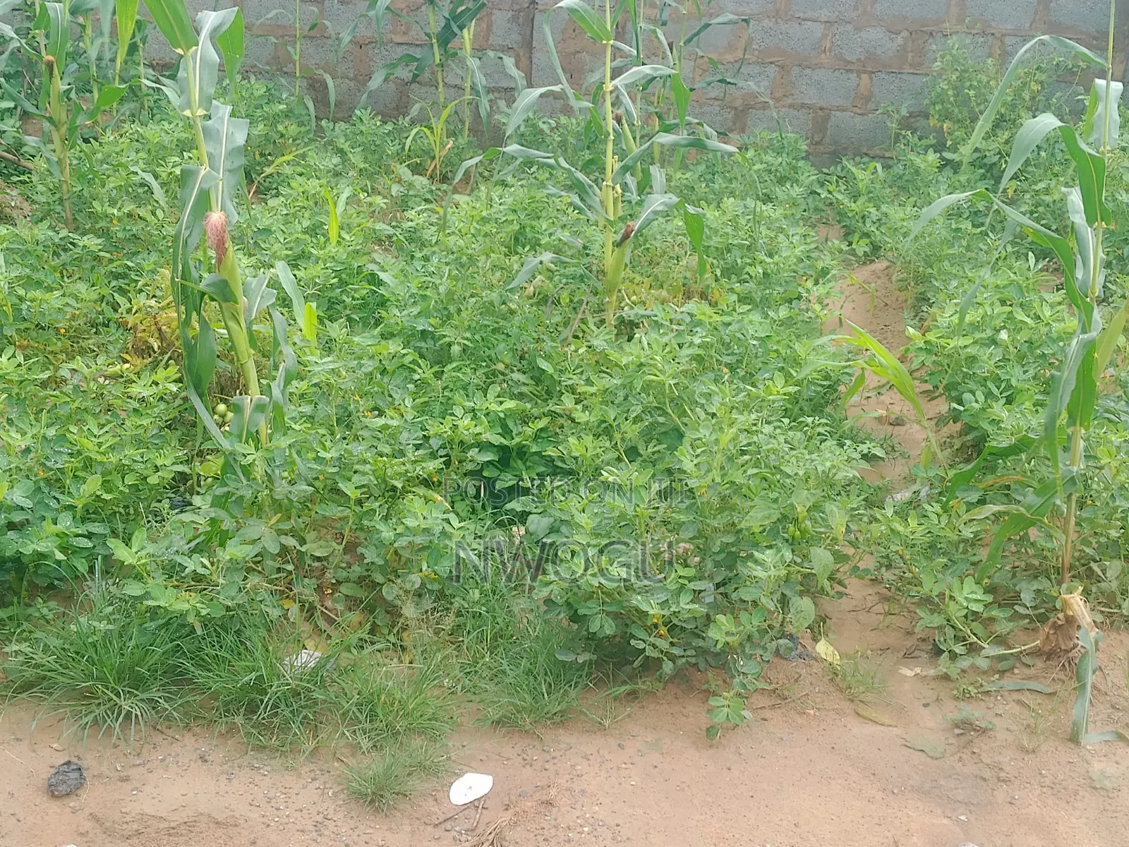 8,000 SQM at Katampe Main for JV in Katampe (Main)