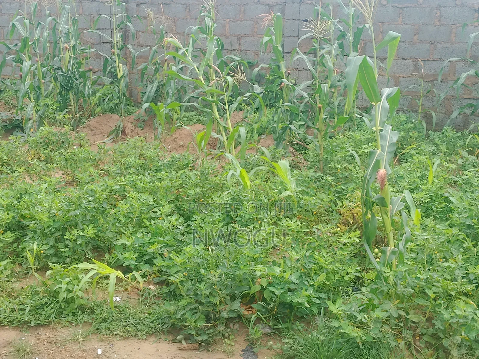 8,000 SQM at Katampe Main for JV in Katampe (Main)