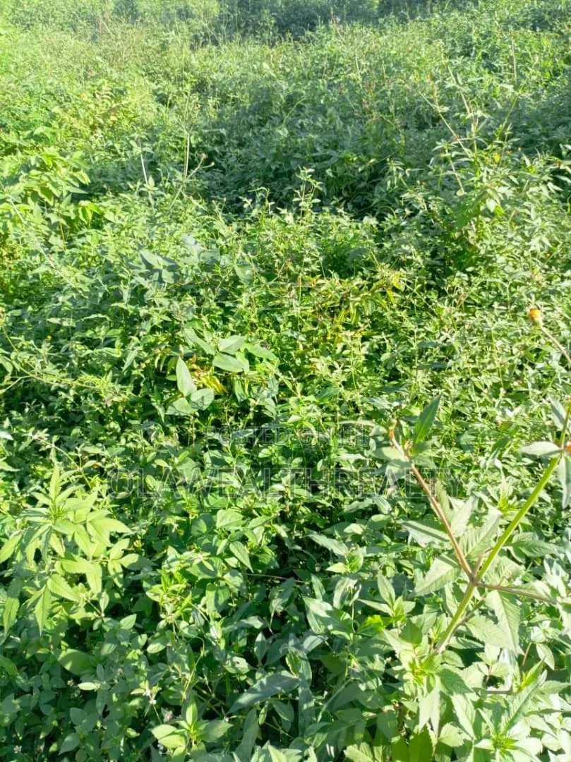 Lands for Sale at Akala Way/Okebadan Estate, Akobo in Akobo