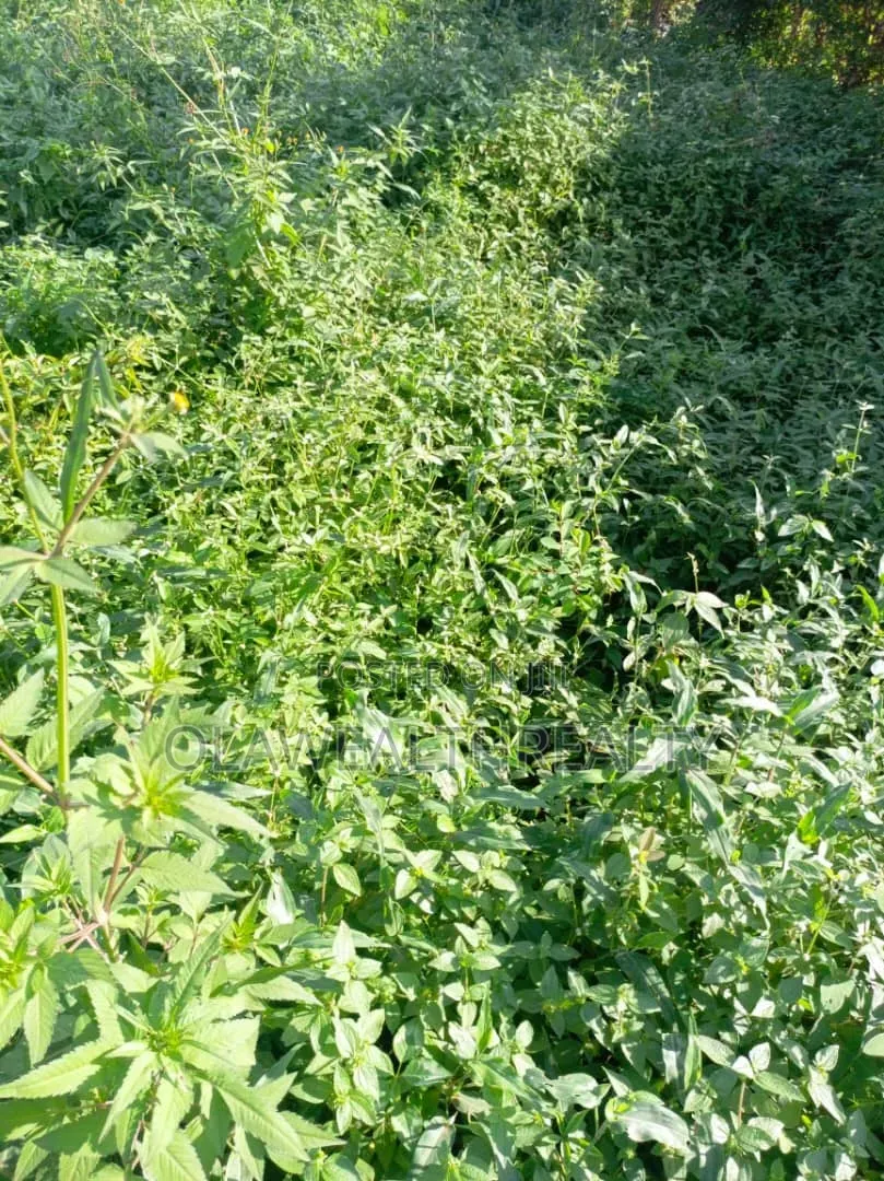 Lands for Sale at Akala Way/Okebadan Estate, Akobo in Akobo