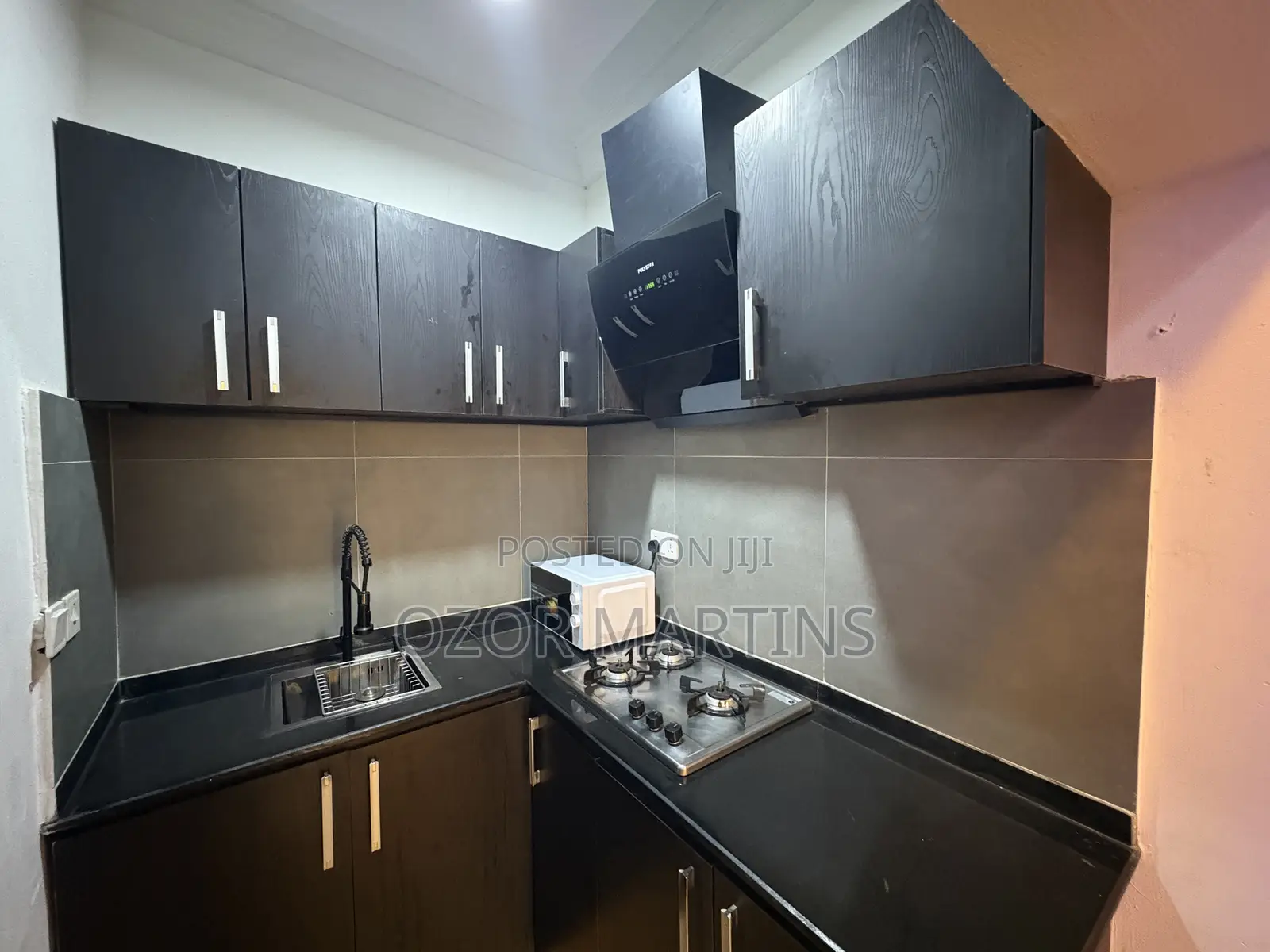 Furnished Studio Apartment in Garki 1 for rent in Garki 1