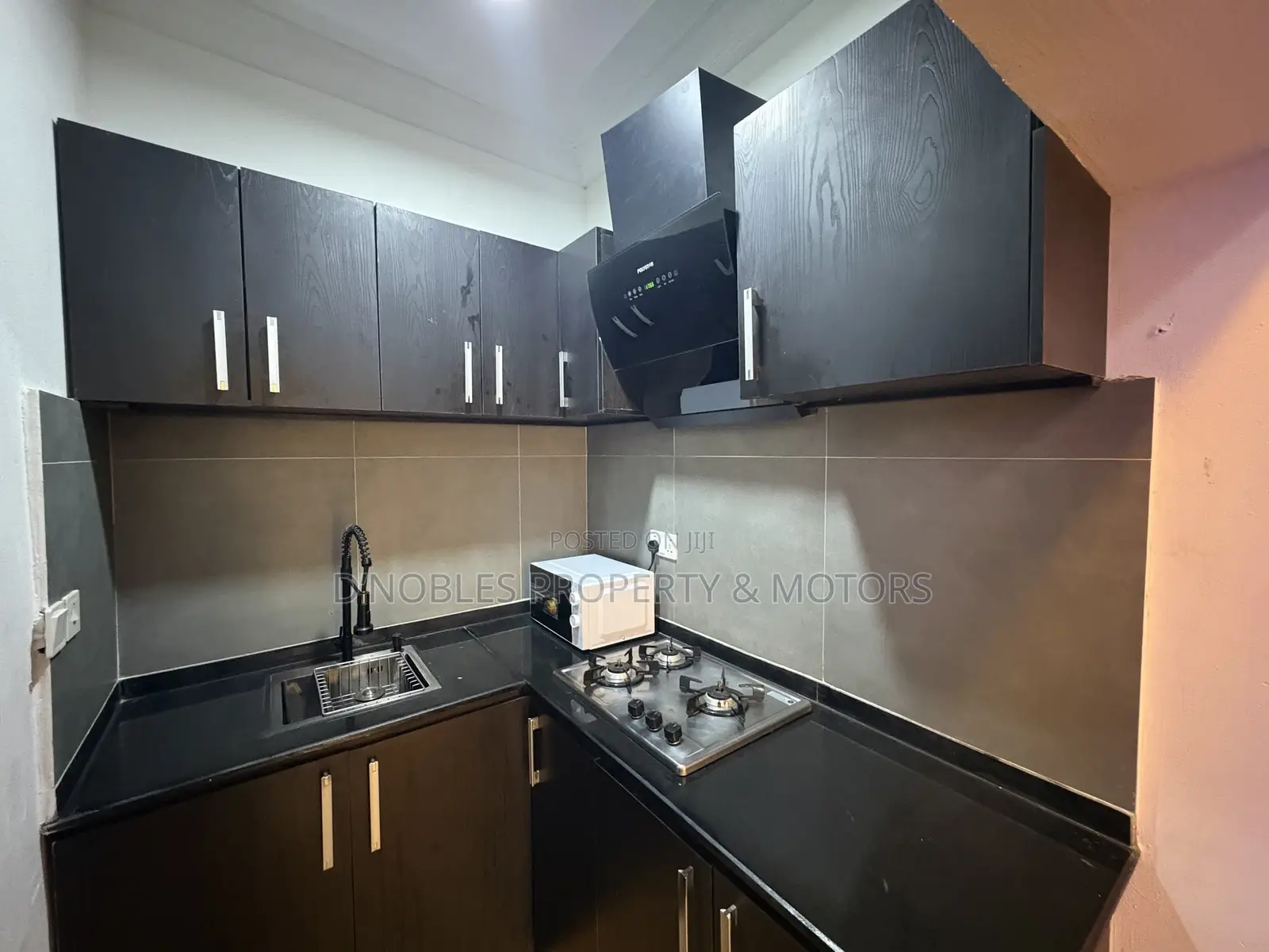 Furnished Studio Apartment in Garki 2 for rent in Garki 2