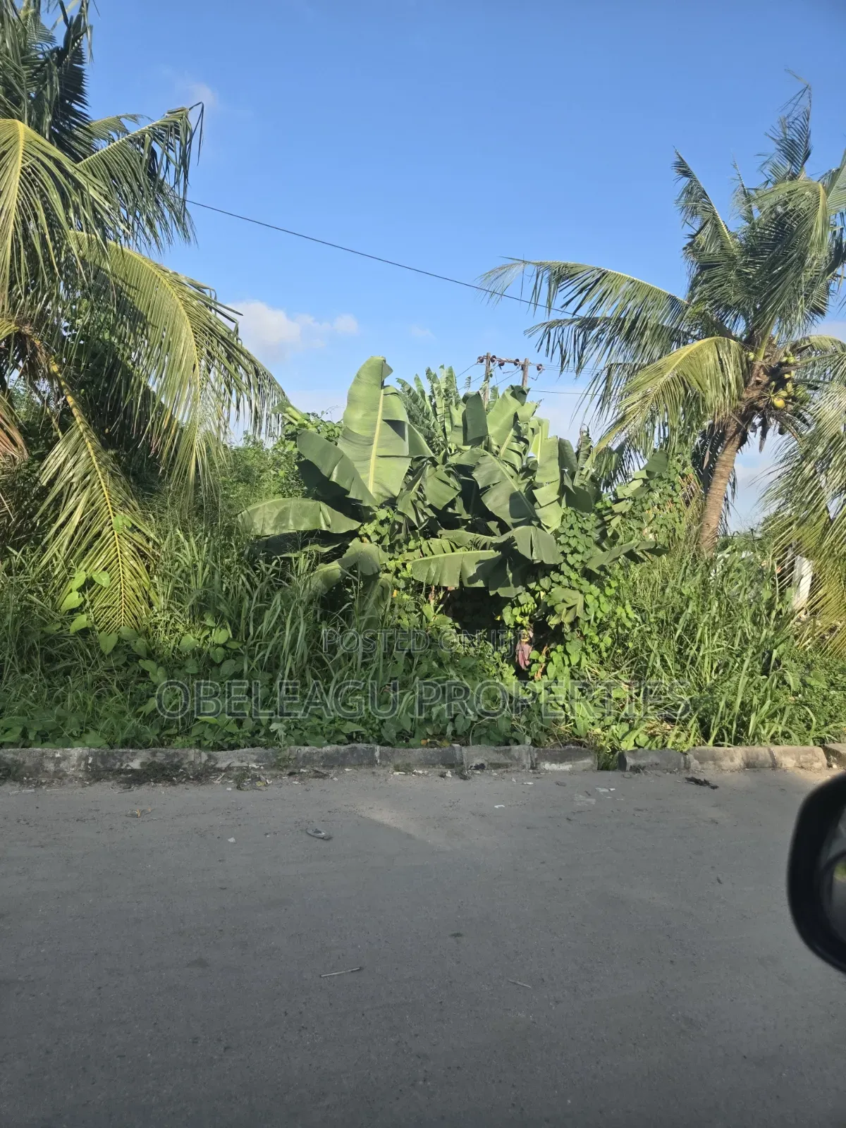 Certificate of Occupancy in Apple Junction