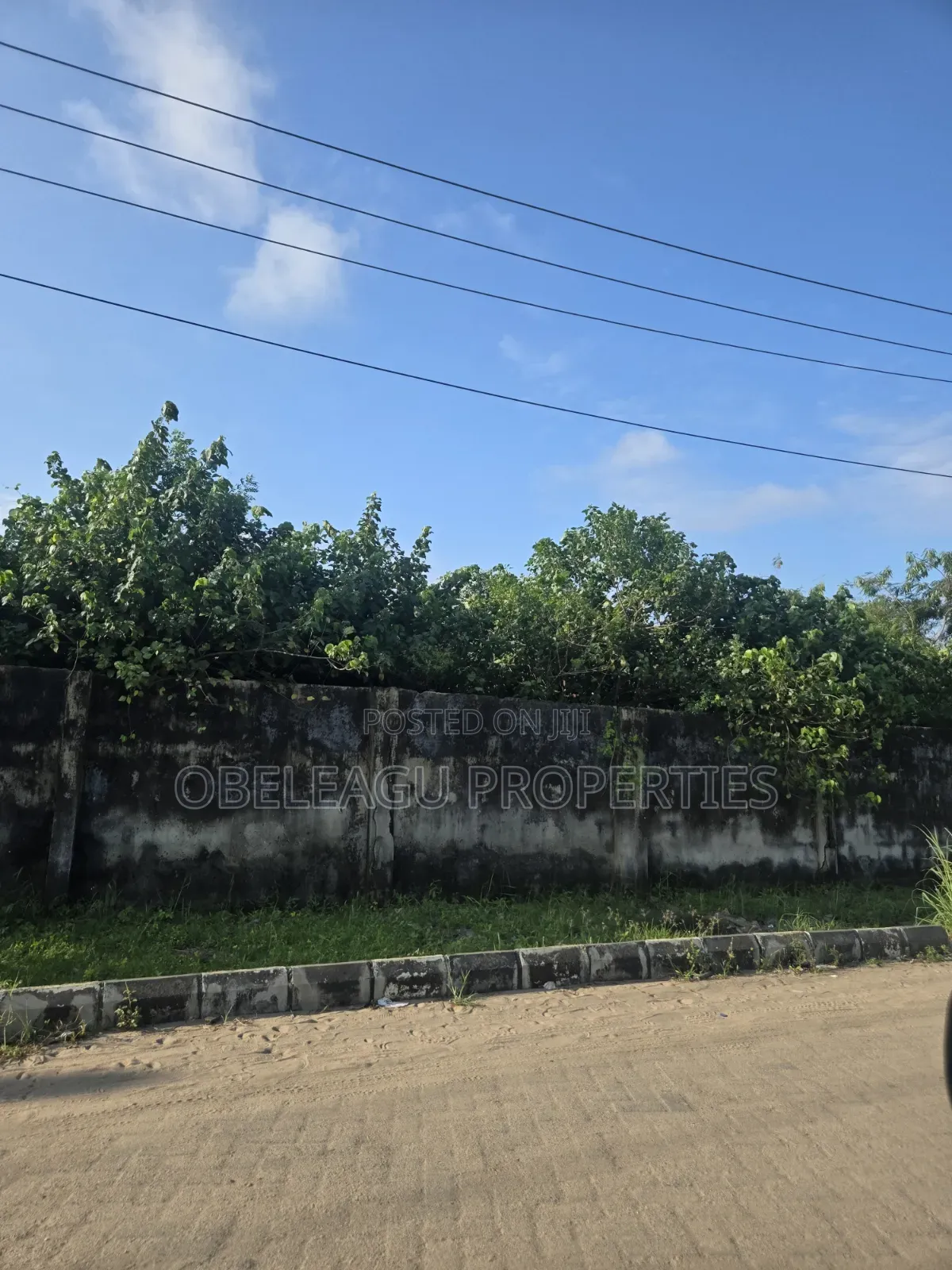 Certificate of Occupancy in Apple Junction
