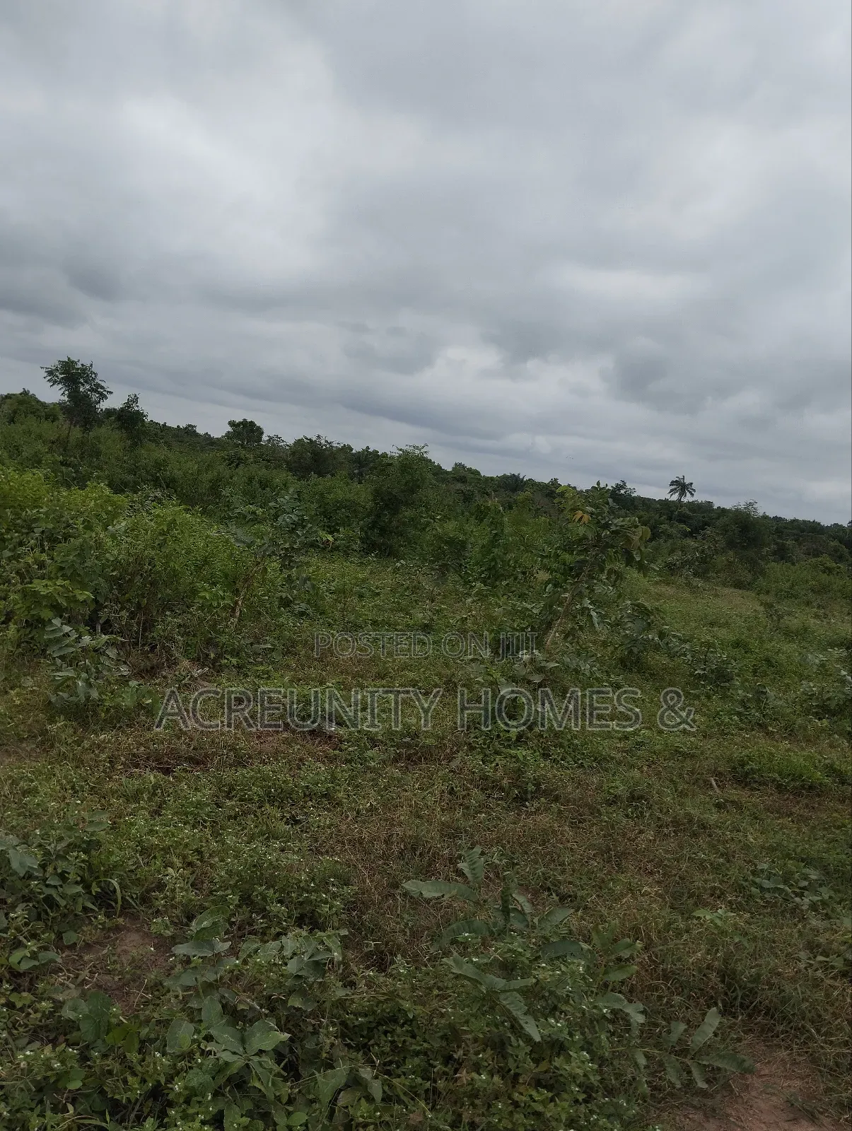 65 Acres of Farmland for Sale at Shaki Road Area Market, Otu Itesiwaju in Itesiwaju