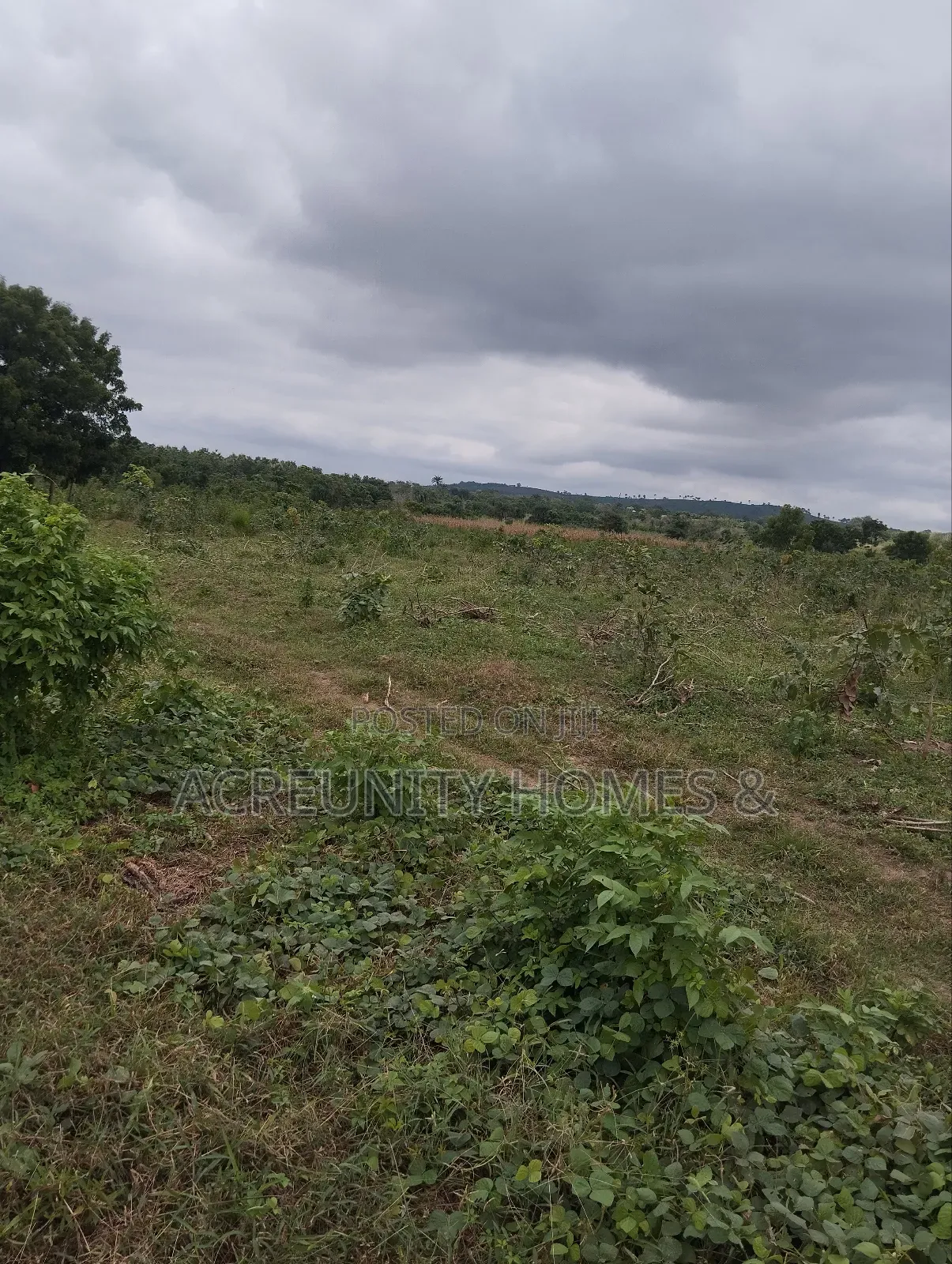 65 Acres of Farmland for Sale at Shaki Road Area Market, Otu Itesiwaju in Itesiwaju
