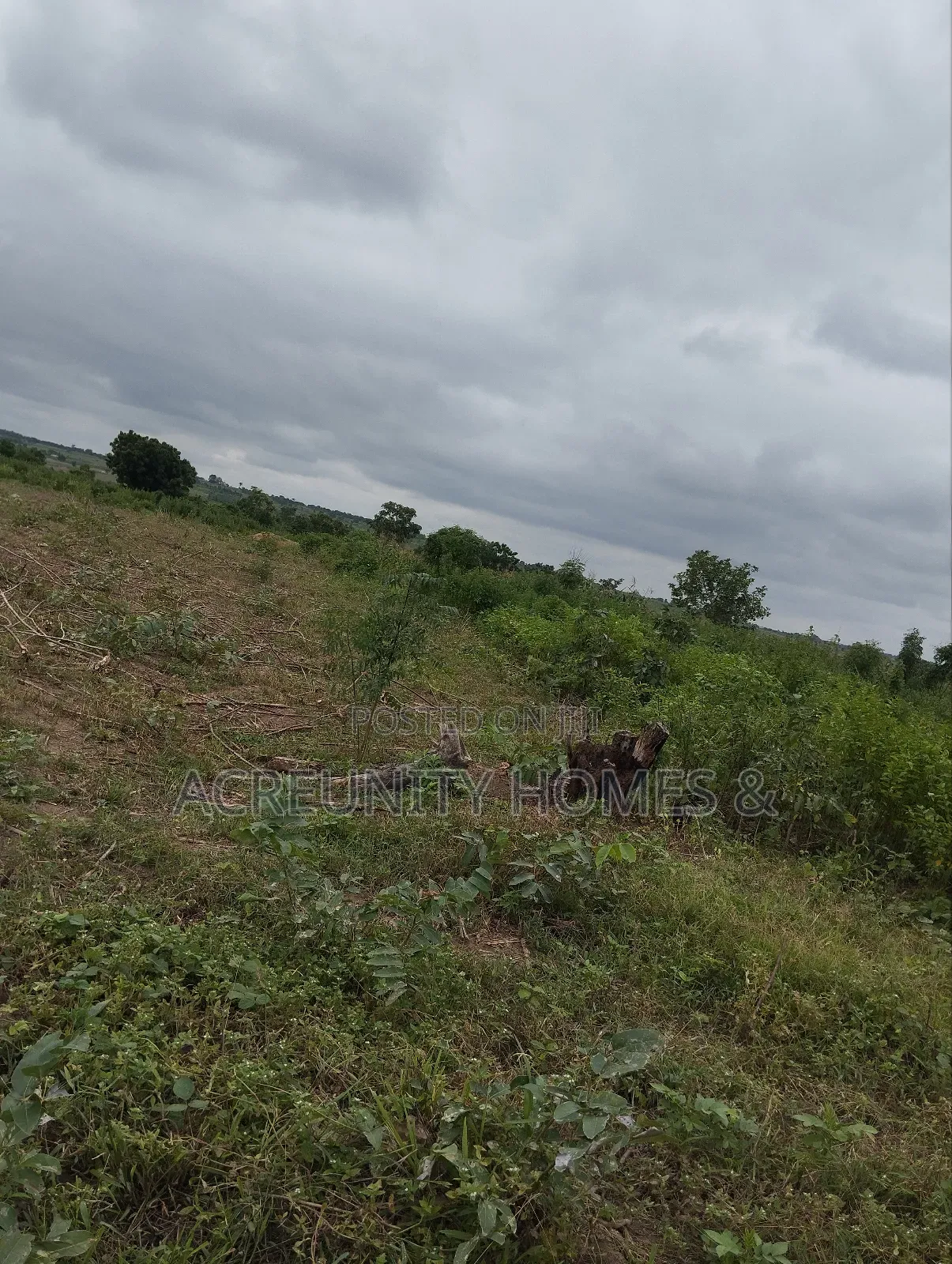 10 Acres of Farmland for Sale at Ago Village, Sirafu, Iseyin Oyo State in Iseyin