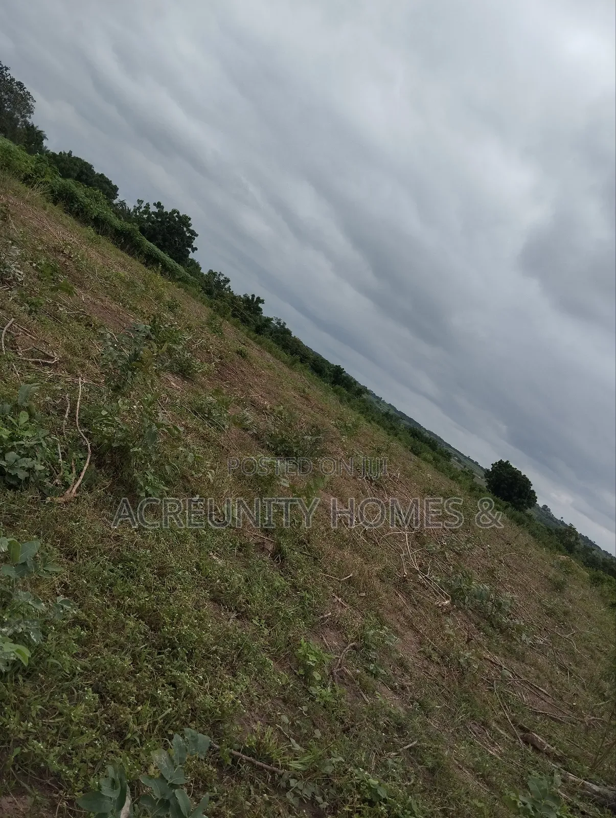 10 Acres of Farmland for Sale at Ago Village, Sirafu, Iseyin Oyo State in Iseyin