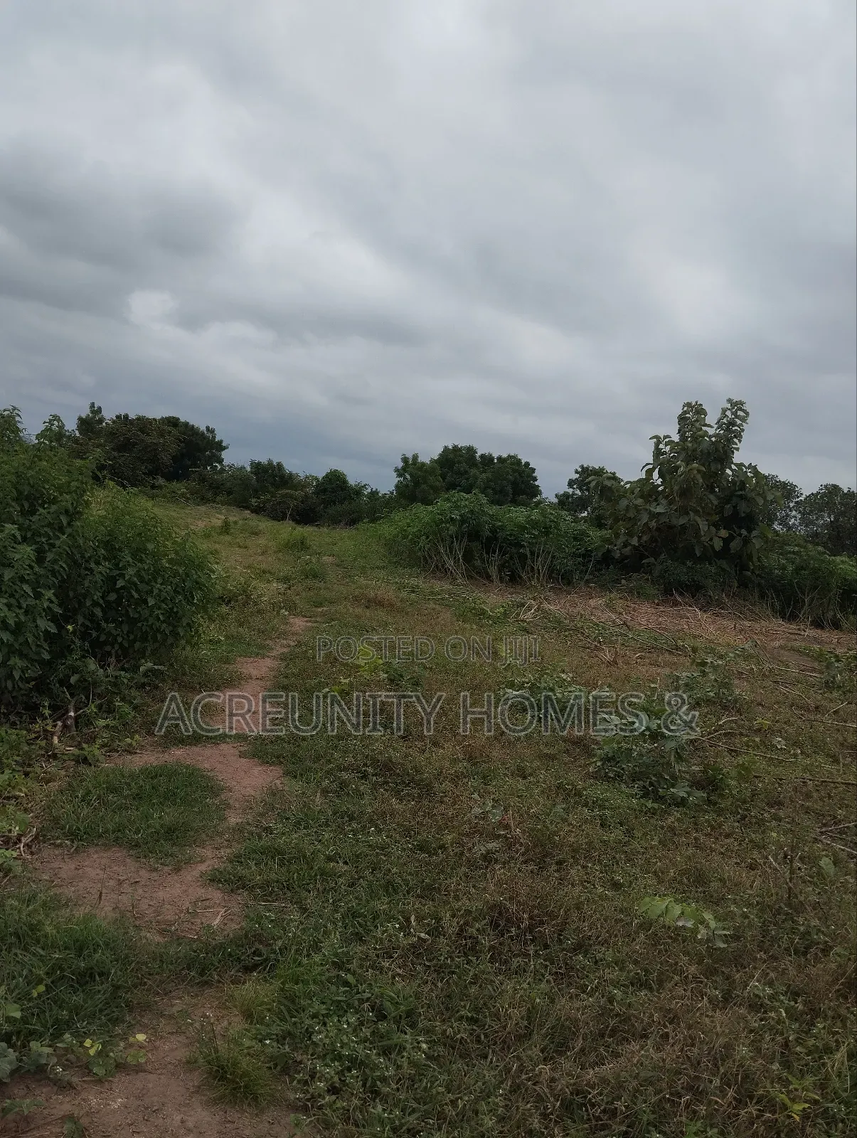 10 Acres of Farmland for Sale at Ago Village, Sirafu, Iseyin Oyo State in Iseyin