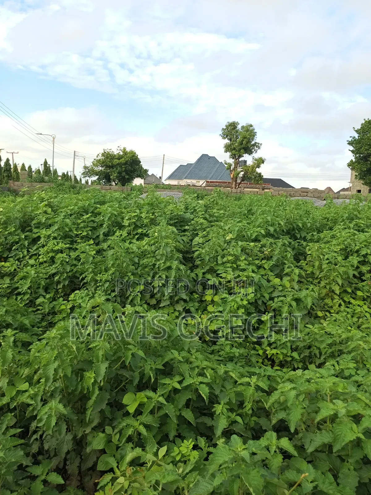 Land for Sale in Karu