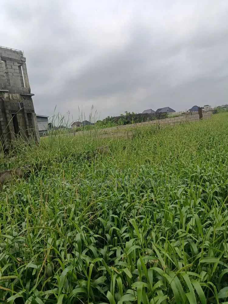 Half Plot of Land With 36 Pilling Points Done in Iseri Olofin