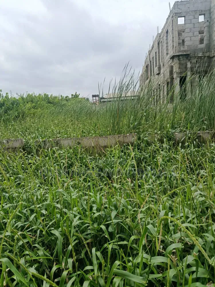 Half Plot of Land With 36 Pilling Points Done in Iseri Olofin