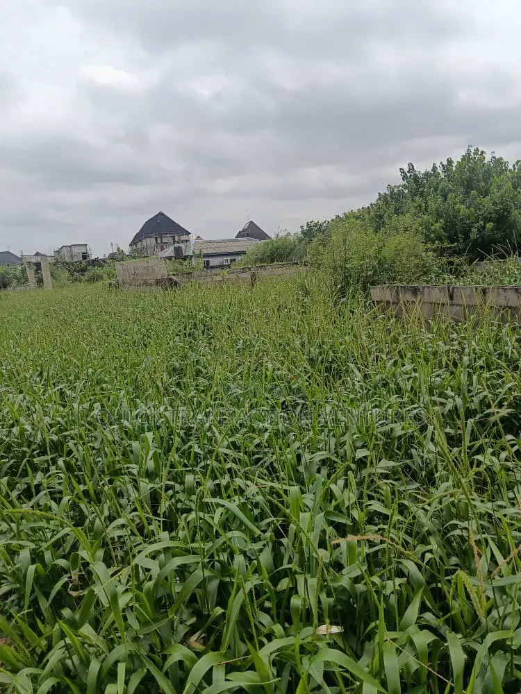 Half Plot of Land With 36 Pilling Points Done in Iseri Olofin
