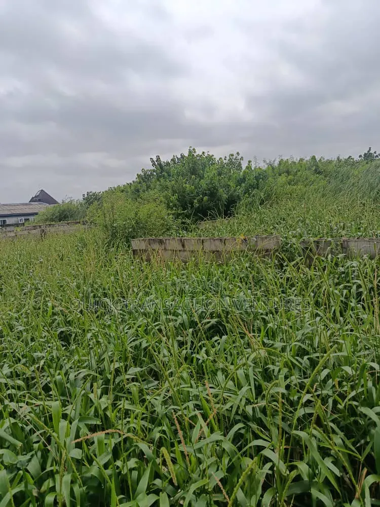 Half Plot of Land With 36 Pilling Points Done in Iseri Olofin