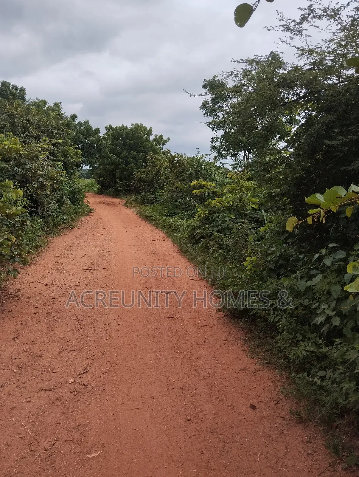 50 Acres of Land for Sale at Alofe Village, Iseyin Lga Oyo State in Iseyin
