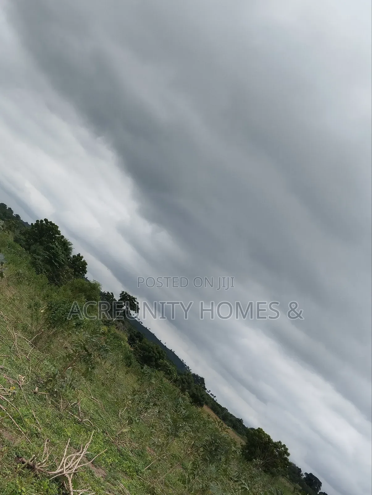 50 Acres of Land for Sale at Alofe Village, Iseyin Lga Oyo State in Iseyin