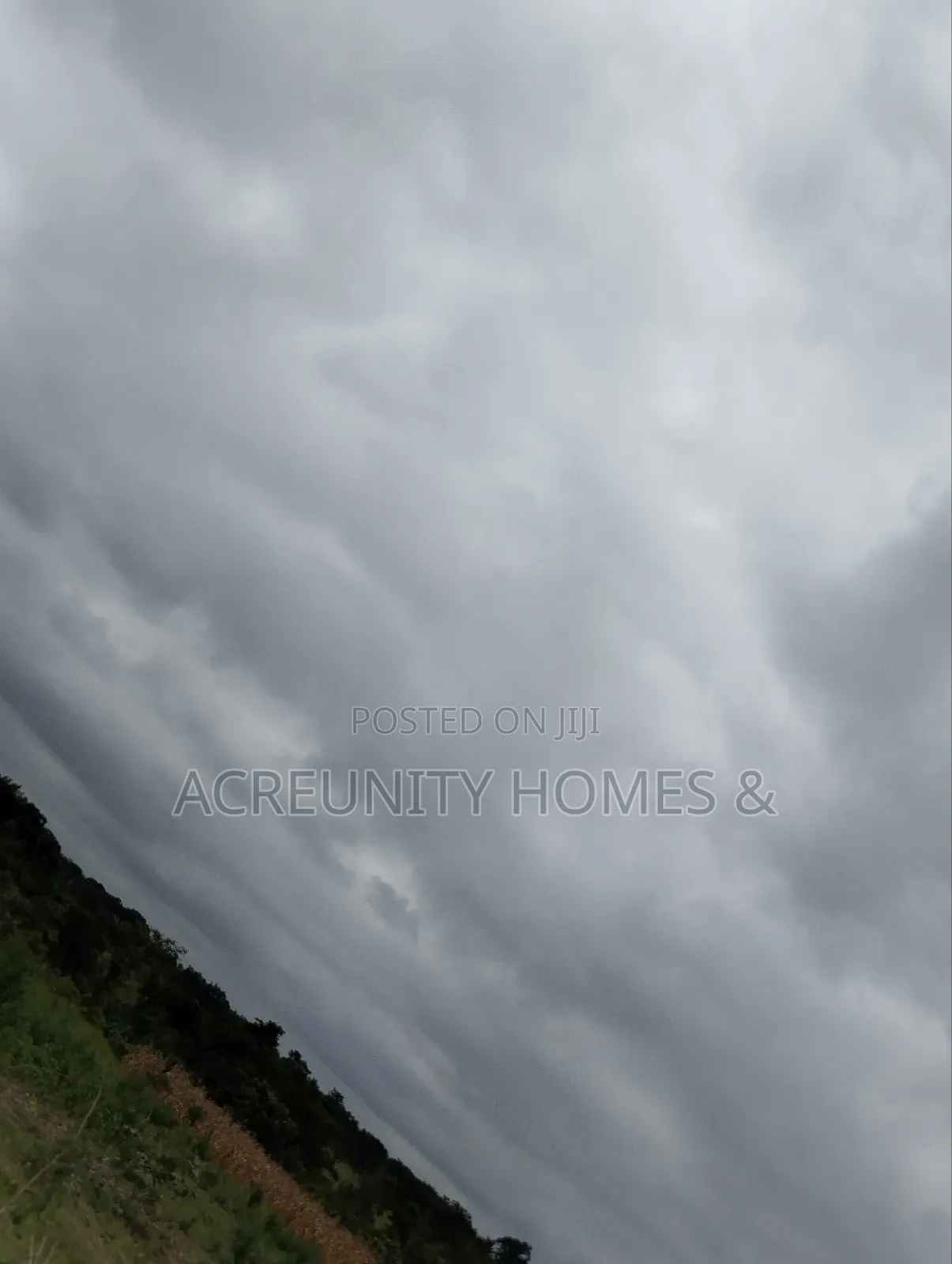 50 Acres of Land for Sale at Alofe Village, Iseyin Lga Oyo State in Iseyin