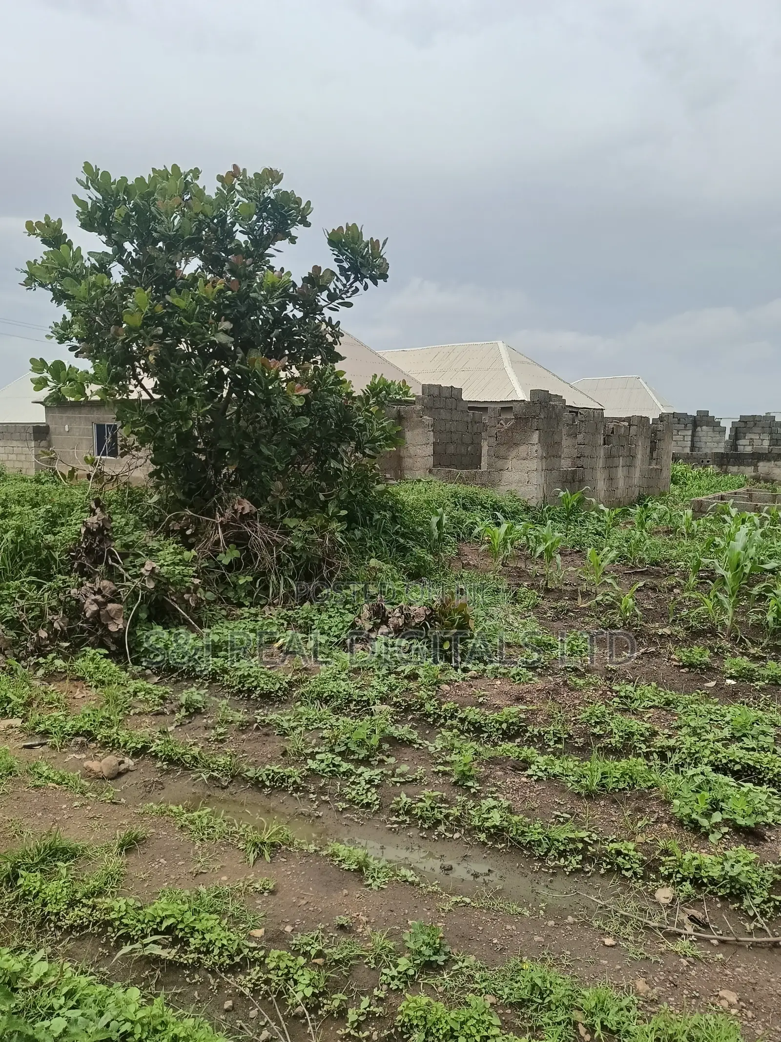 2 Hectares of Land for Sale in Kurudu