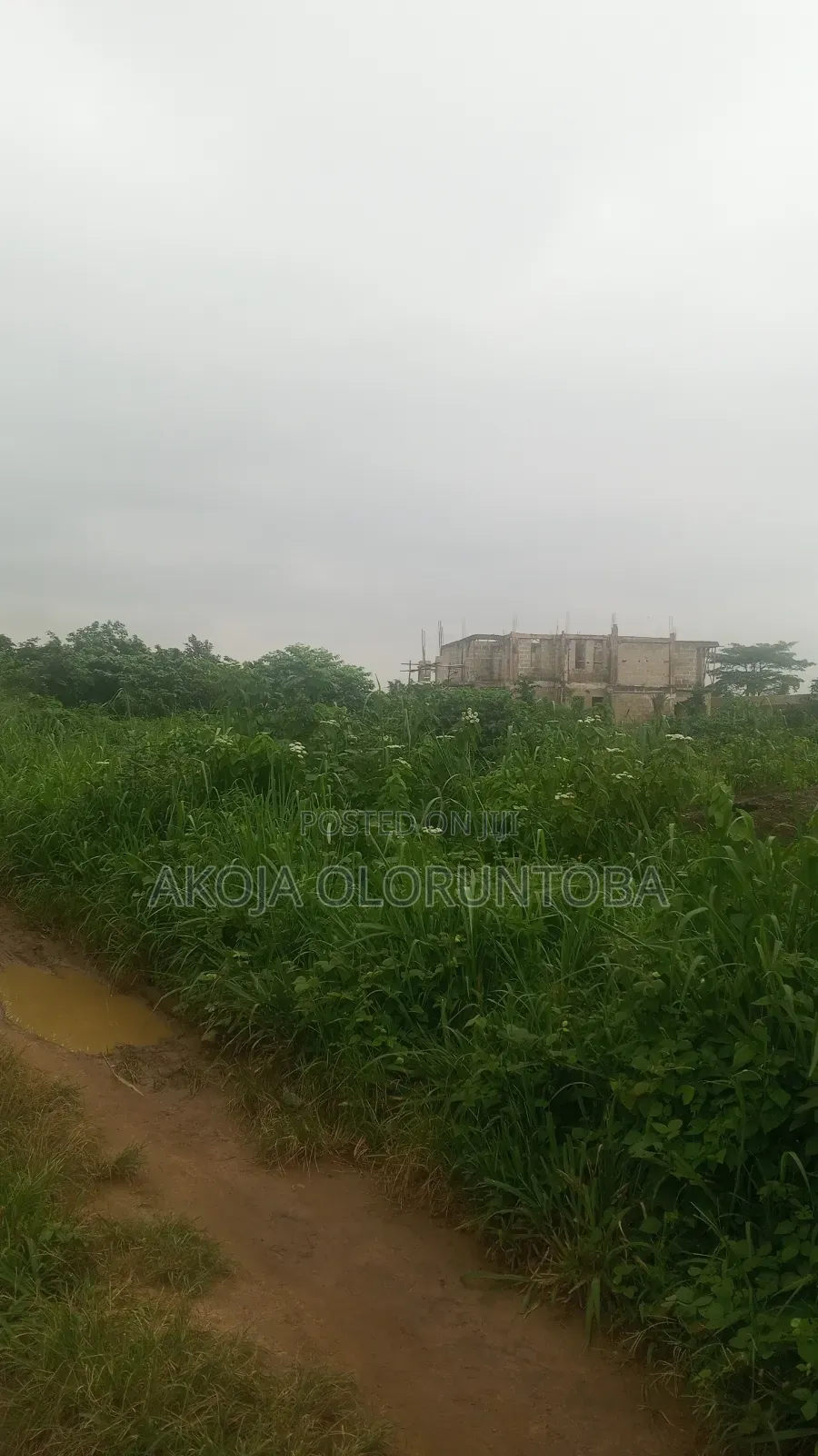 2 Plots of Land for Sale at Odogunyan Ikorodu, Close to Lasustech in Ikorodu Road / Shomolu