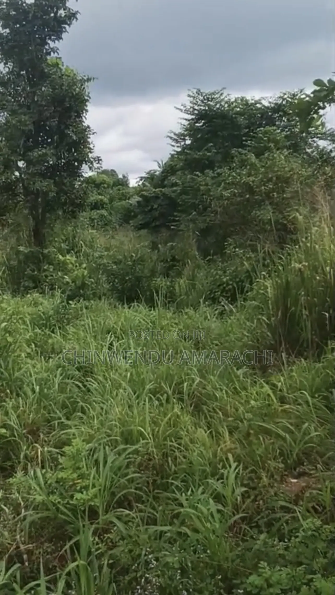 Empty Plot for Sale in Enugu State