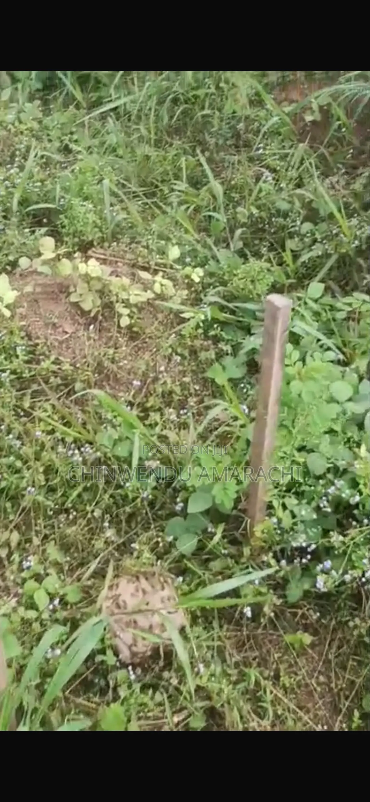 Empty Plot for Sale in Enugu State