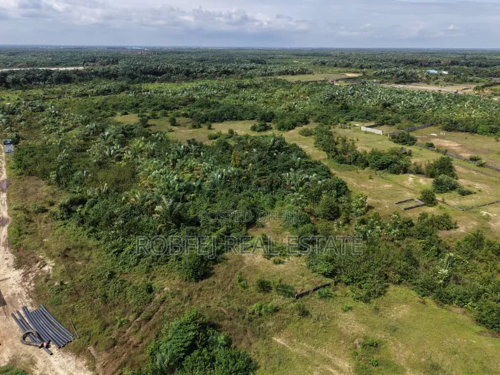 Prime Acreage for Quick Grab! in Idi-Orogbo