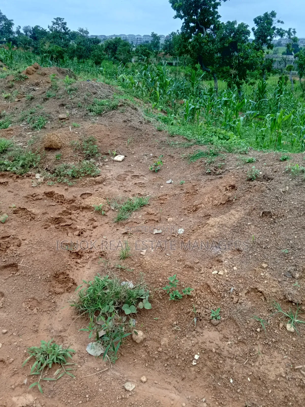 1270sqm Flat Commercial Land for Sale in Dape