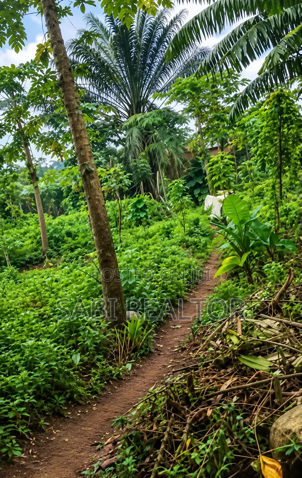 More Than a Plot of Land at Abiola Farm Phase 1 Megida Ayobo Lagos in Ayobo