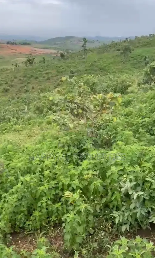 2.8 Hectares of Land Karshi in Karshi