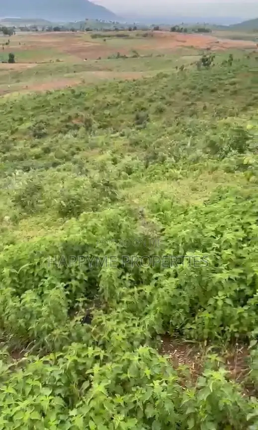 2.8 Hectares of Land Karshi in Karshi