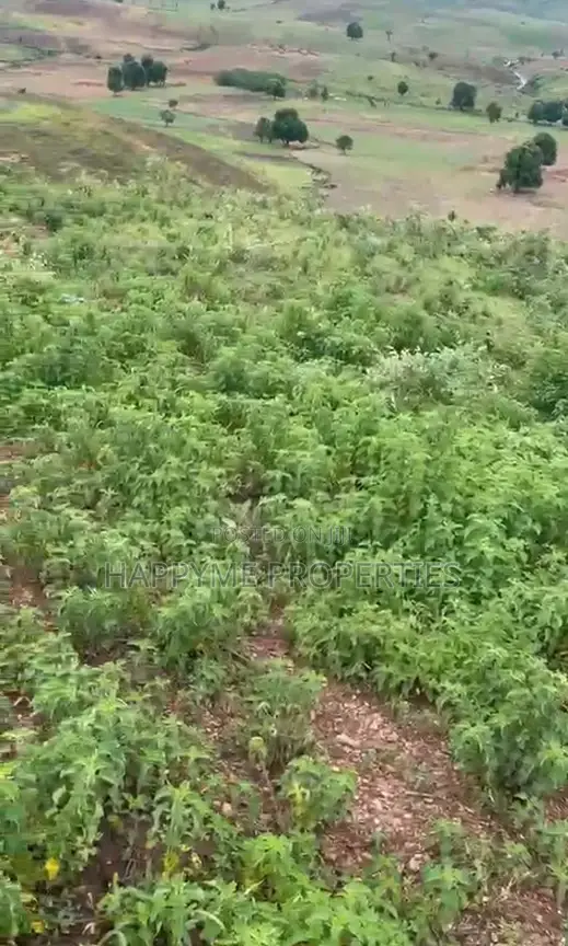 2.8 Hectares of Land Karshi in Karshi