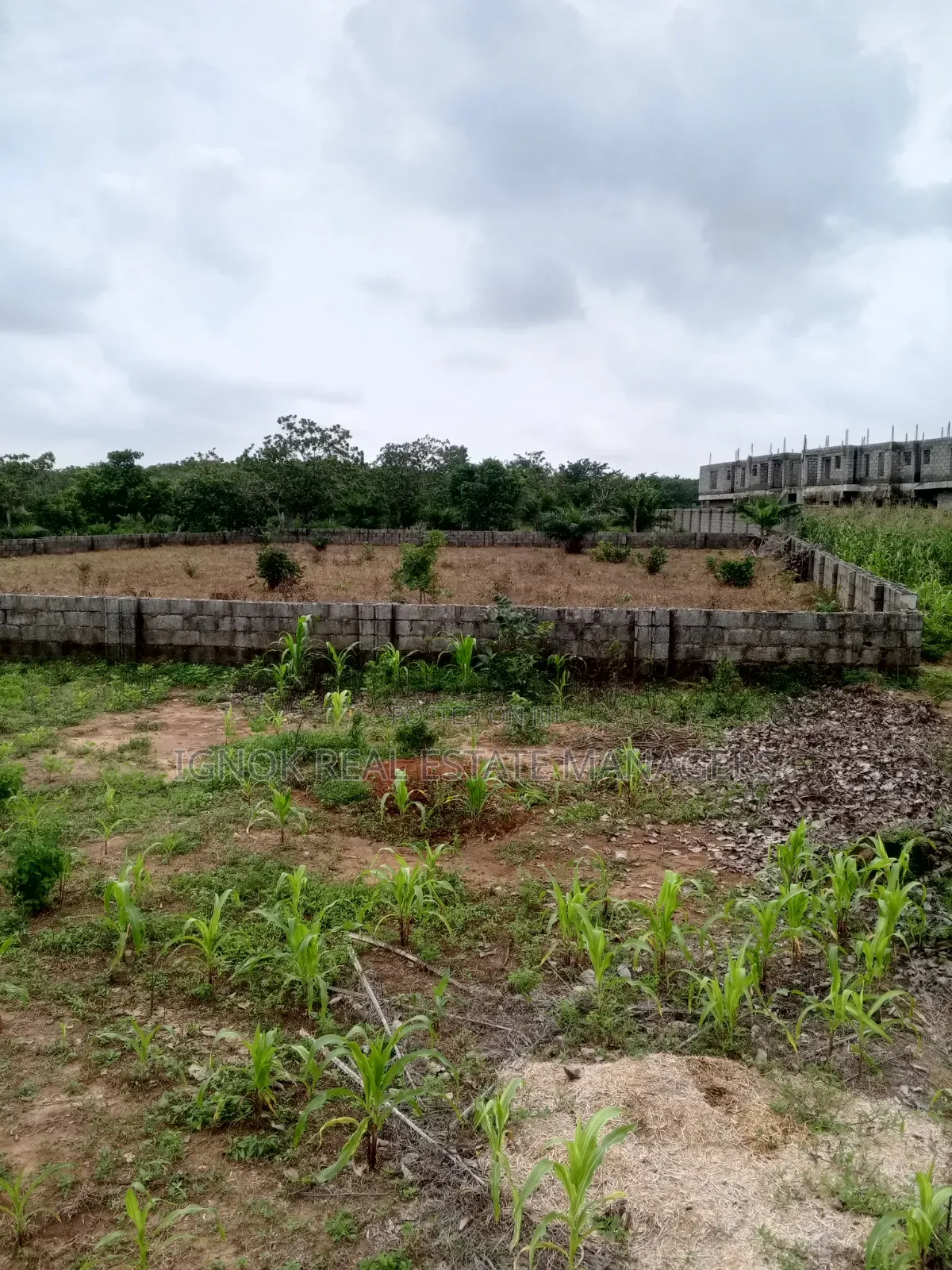 1500sqm Flat Residential Land for Sale in Dape