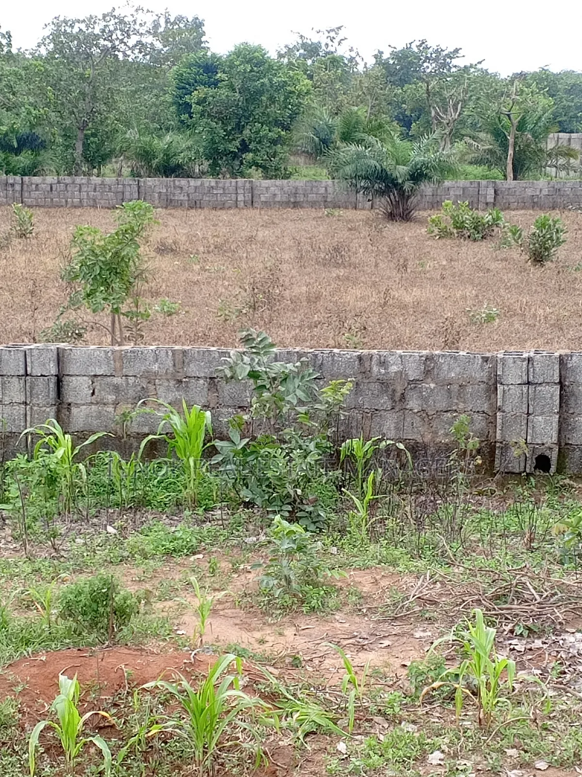 1500sqm Flat Residential Land for Sale in Dape