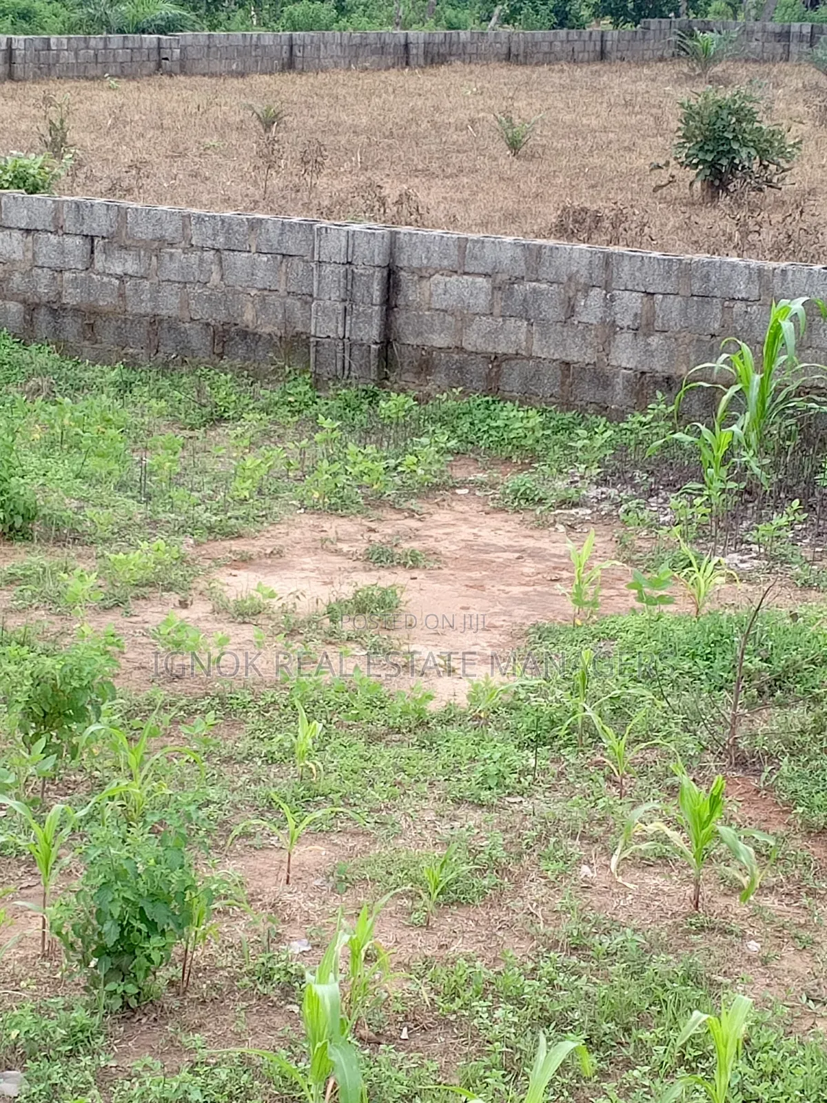 1500sqm Flat Residential Land for Sale in Dape