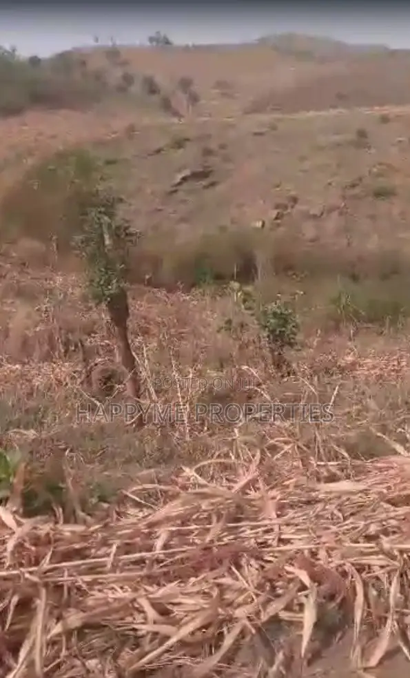 R/O 4 Hectares Land for Sell at Orozo, Abuja in Orozo
