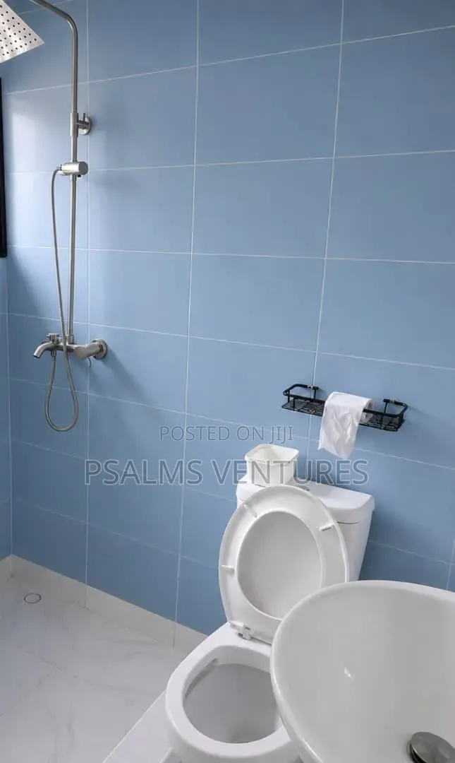 Furnished Mini Flat in Agege, Cement for rent in Cement