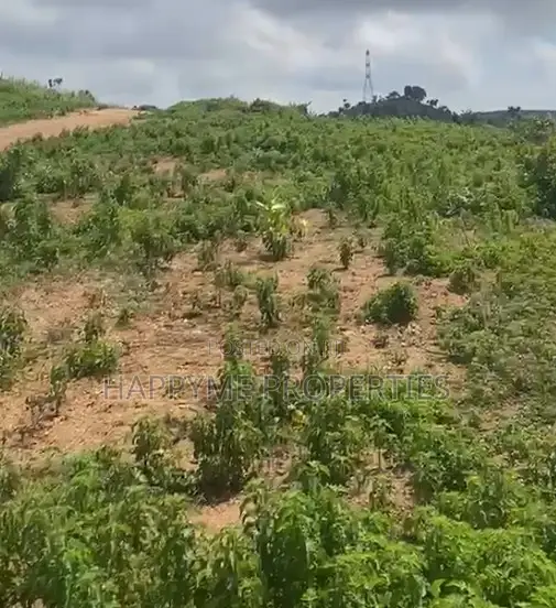 4800 SQM Land for Sell in Pyakasa, Abuja in Pyakasa