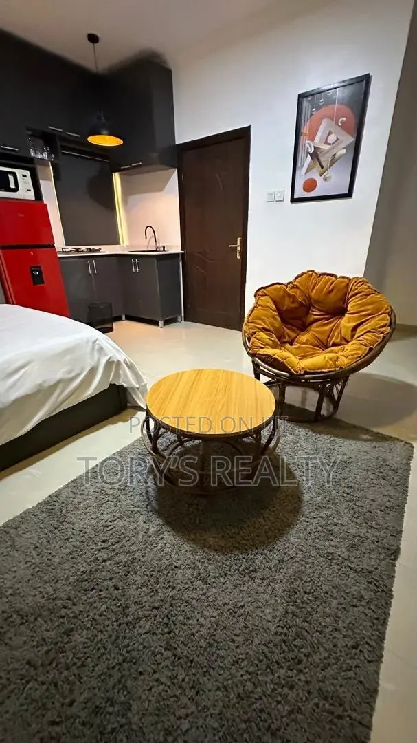 Furnished Studio Apartment in Lekki Phase 1 for rent in Lekki Phase 1