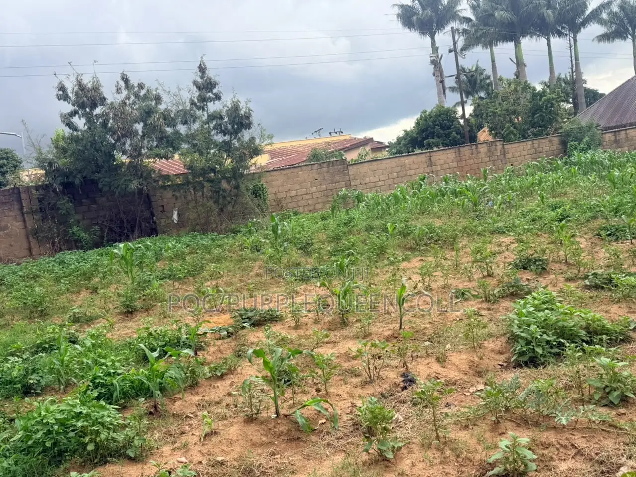 6 Plots of Land at Rayfield Jos Plateau State in Jos
