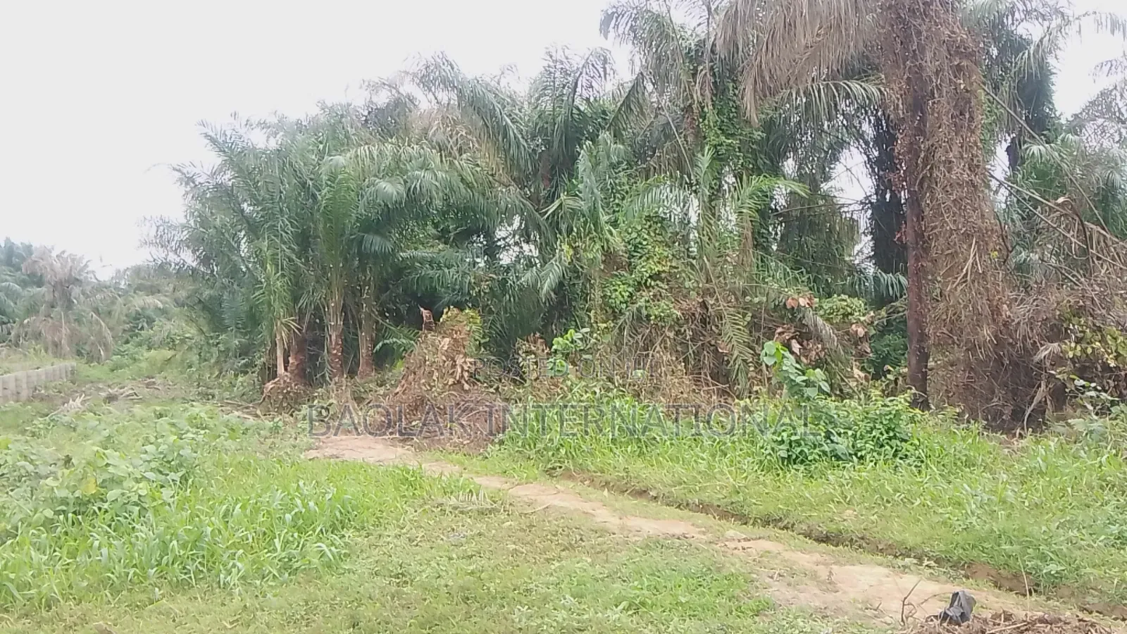 Attention Estate Developers Investors: 3 Plots Land Deals in Ikorodu in Ikorodu