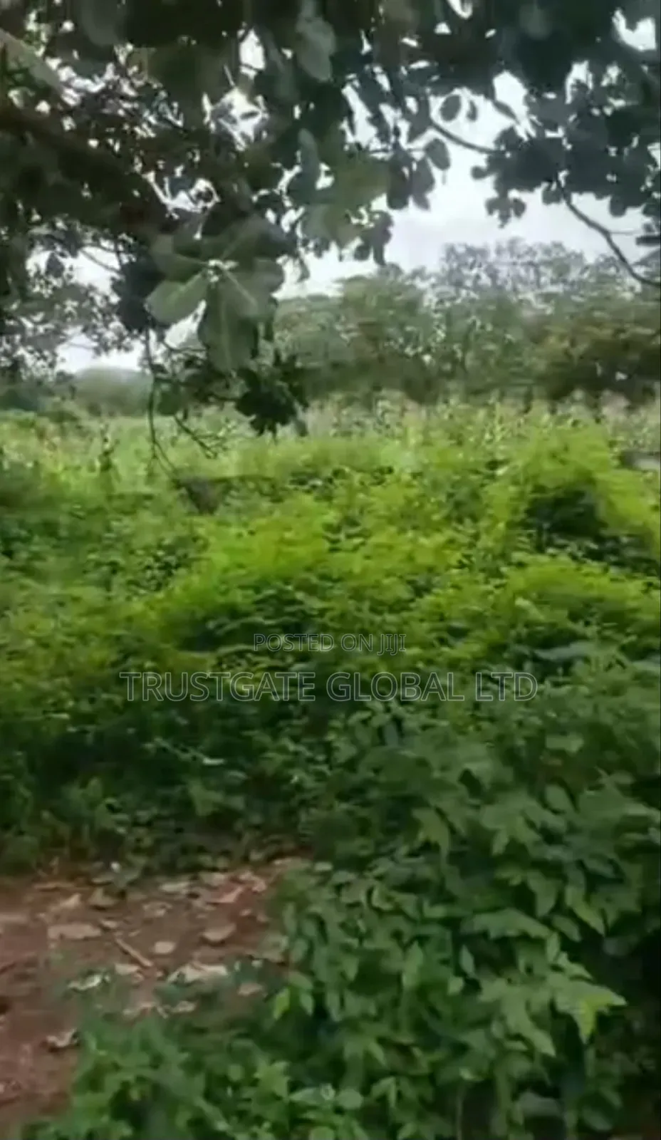 6 Hectares in Karsana South for Sale in Karsana